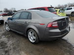 2008 Acura Tl  Серый vin: 19UUA66248A050658