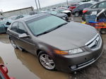 2008 Acura Tl  Gray vin: 19UUA66248A050658