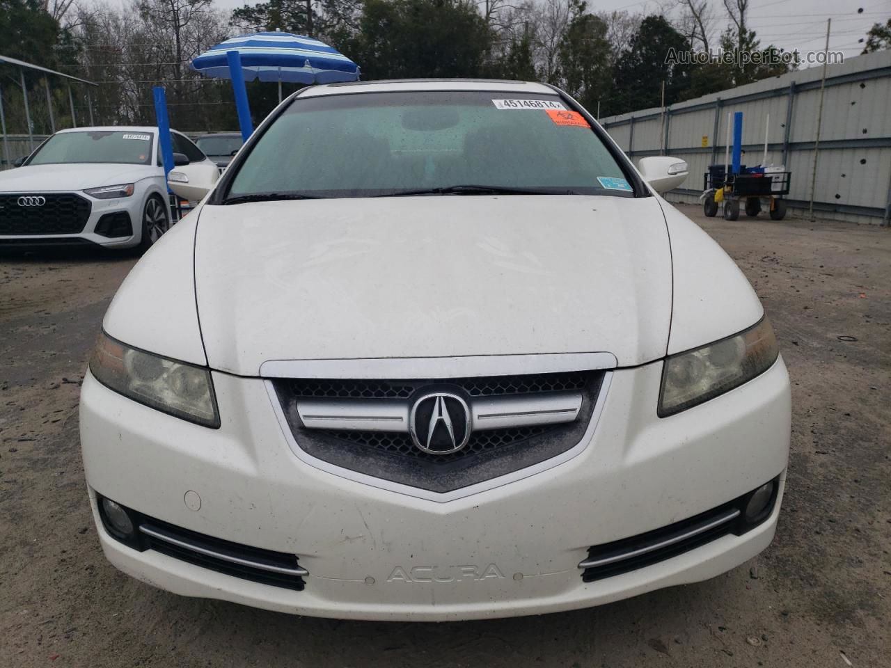 2008 Acura Tl Белый vin: 19UUA66248A053091