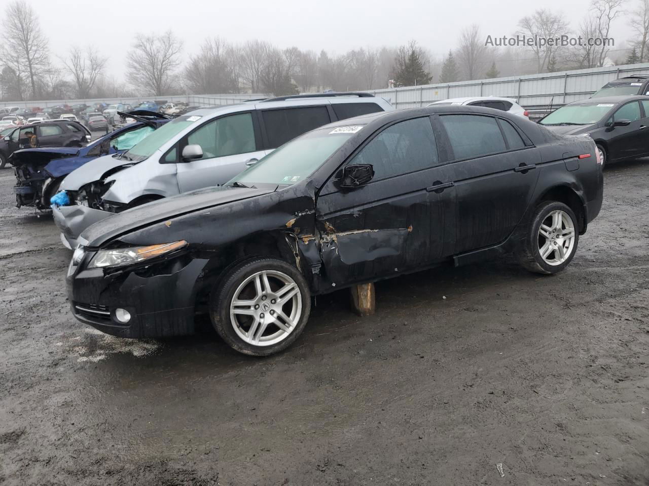 2008 Acura Tl  Black vin: 19UUA66248A056170