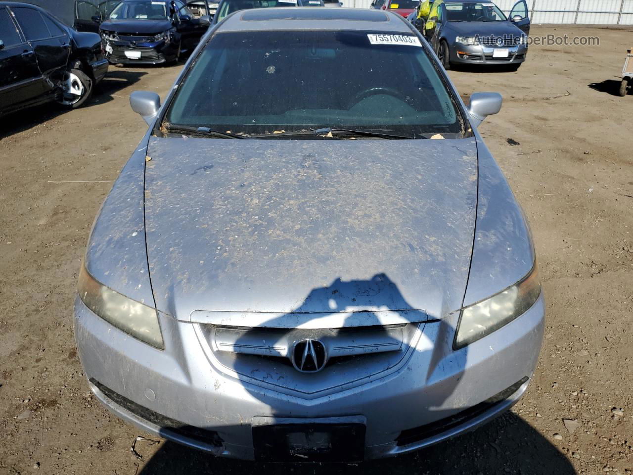 2005 Acura Tl  Серебряный vin: 19UUA66255A013291