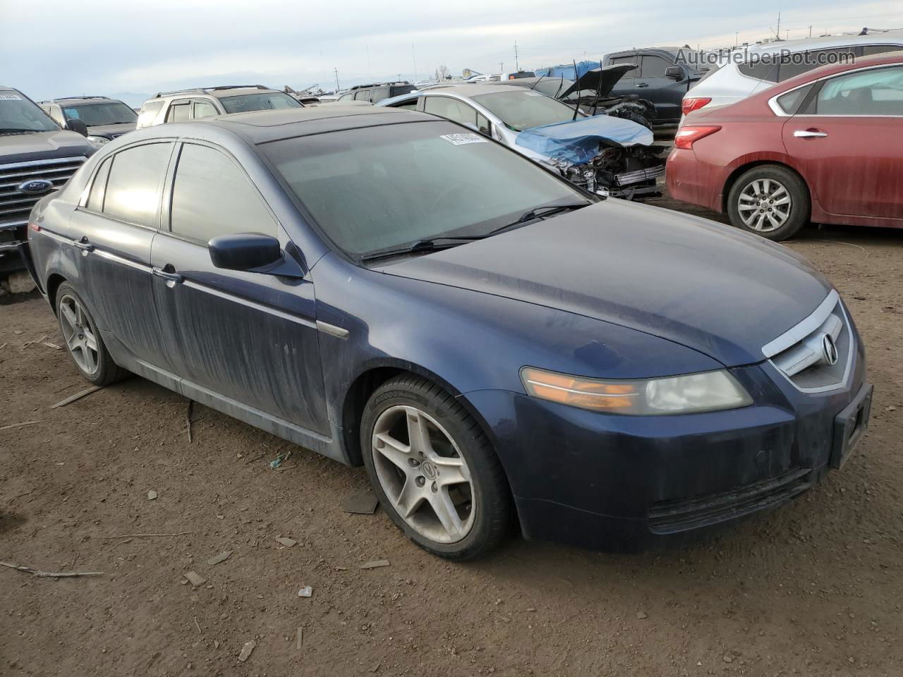 2005 Acura Tl  Blue vin: 19UUA66255A032424