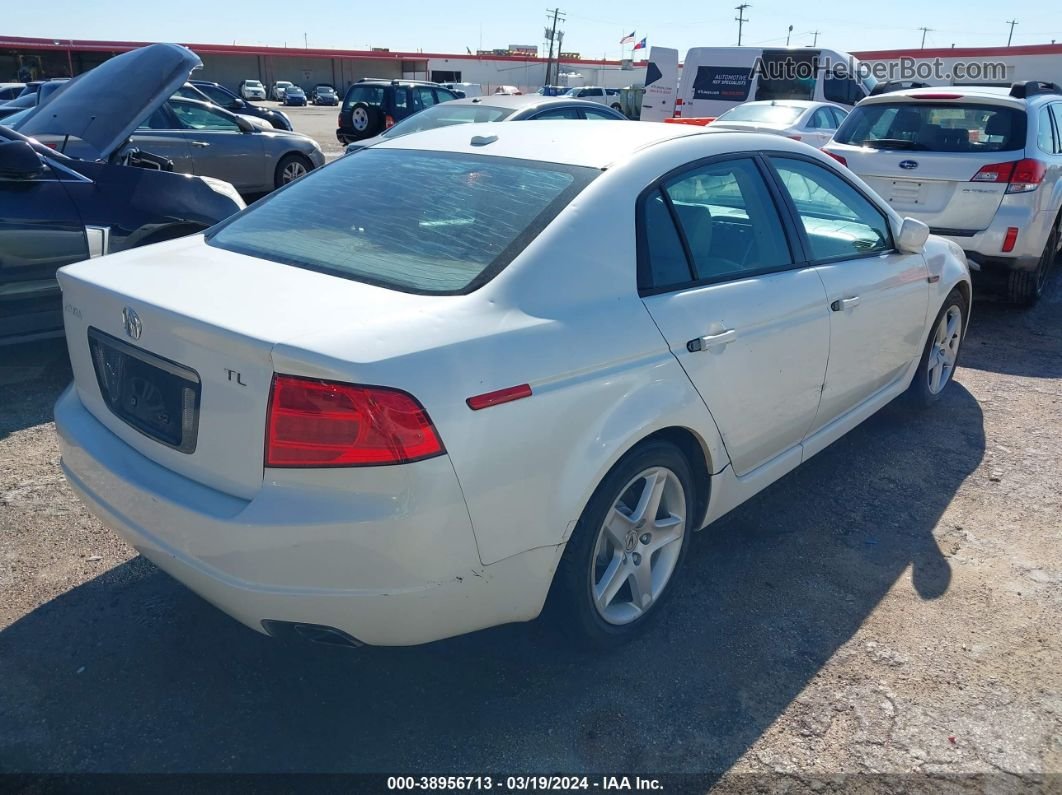 2005 Acura Tl   White vin: 19UUA66255A045447