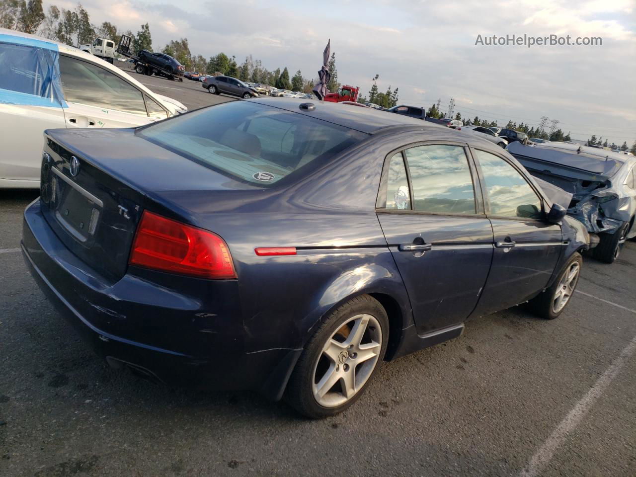 2005 Acura Tl  Синий vin: 19UUA66255A054083