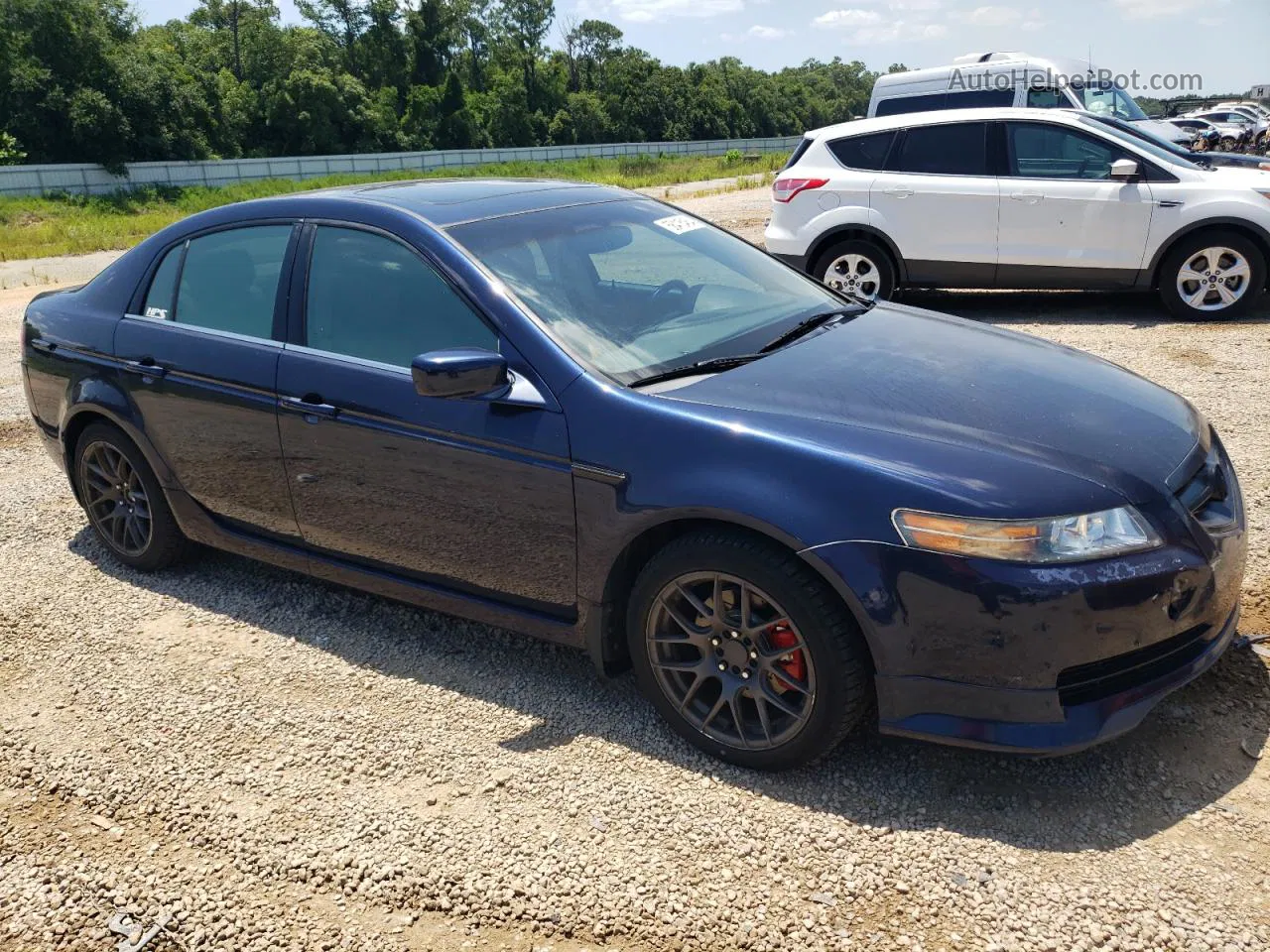 2005 Acura Tl  Blue vin: 19UUA66255A054097