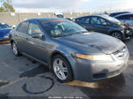 2005 Acura Tl   Серый vin: 19UUA66255A057386