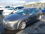 2005 Acura Tl   Gray vin: 19UUA66255A057386