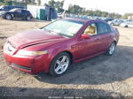 2005 Acura Tl   Красный vin: 19UUA66255A058487