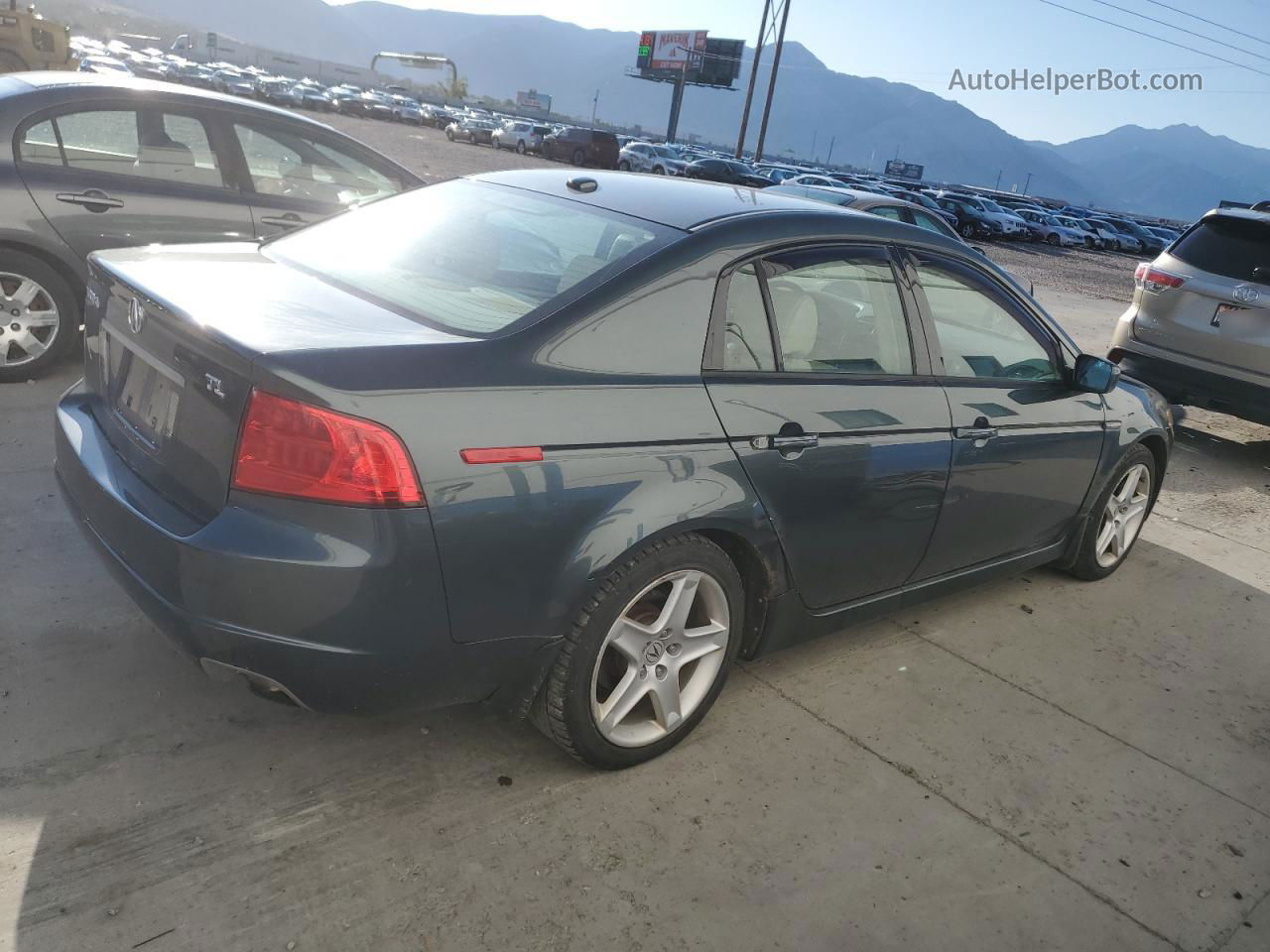 2005 Acura Tl  Зеленый vin: 19UUA66255A064662