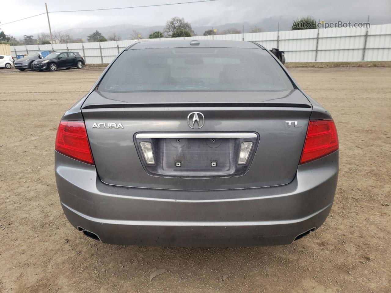 2005 Acura Tl  Gray vin: 19UUA66255A065438