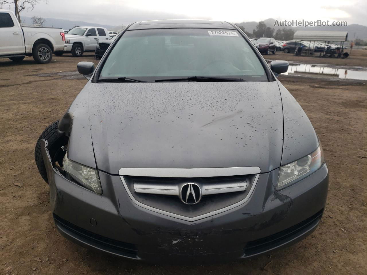 2005 Acura Tl  Gray vin: 19UUA66255A065438