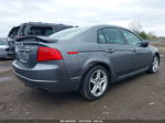 2005 Acura Tl   Silver vin: 19UUA66255A066346