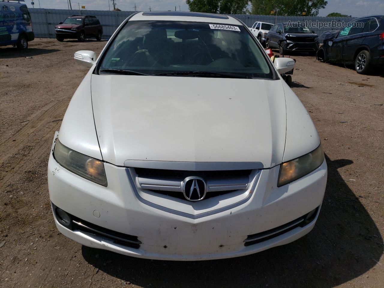 2008 Acura Tl  Белый vin: 19UUA66258A002280