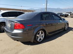 2008 Acura Tl  Серый vin: 19UUA66258A009813