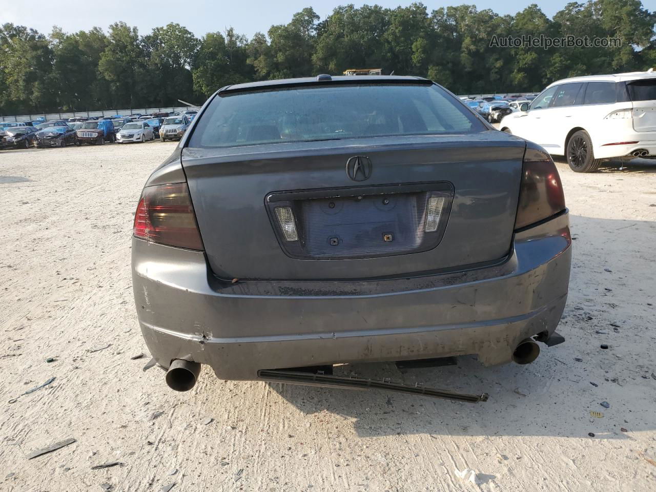 2008 Acura Tl  Gray vin: 19UUA66258A029561