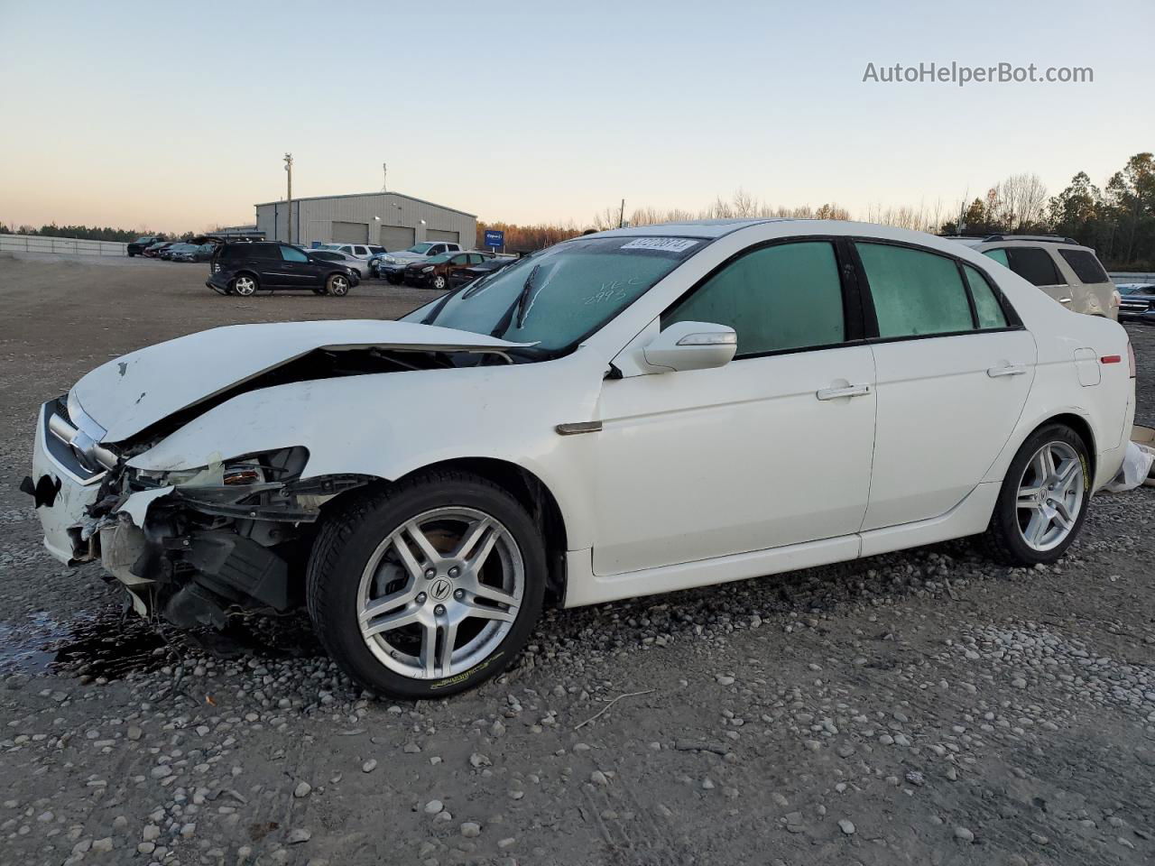 2008 Acura Tl  White vin: 19UUA66258A032993