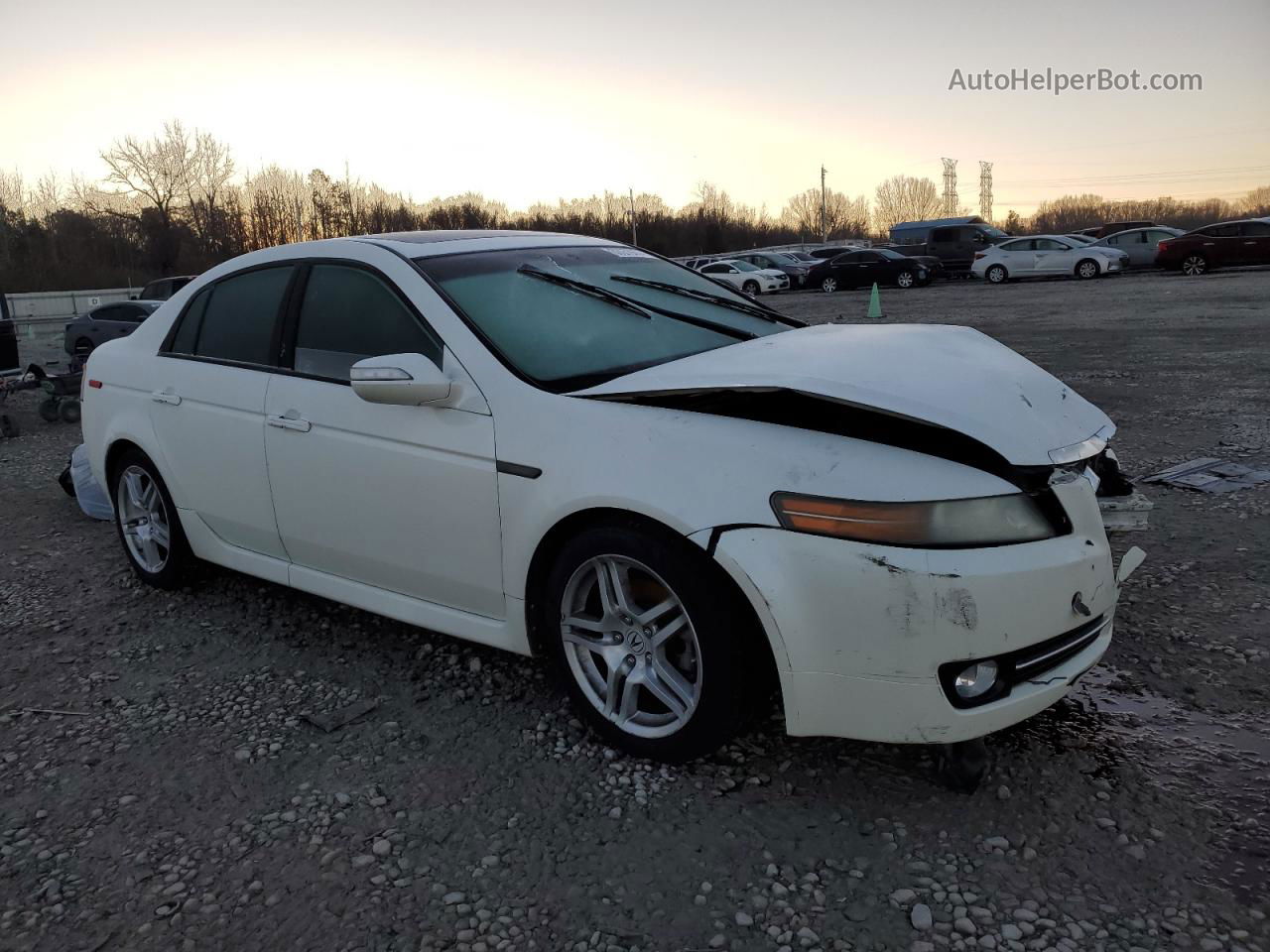 2008 Acura Tl  White vin: 19UUA66258A032993