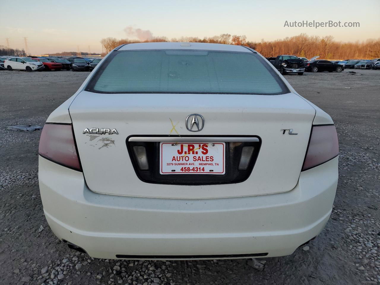 2008 Acura Tl  White vin: 19UUA66258A032993