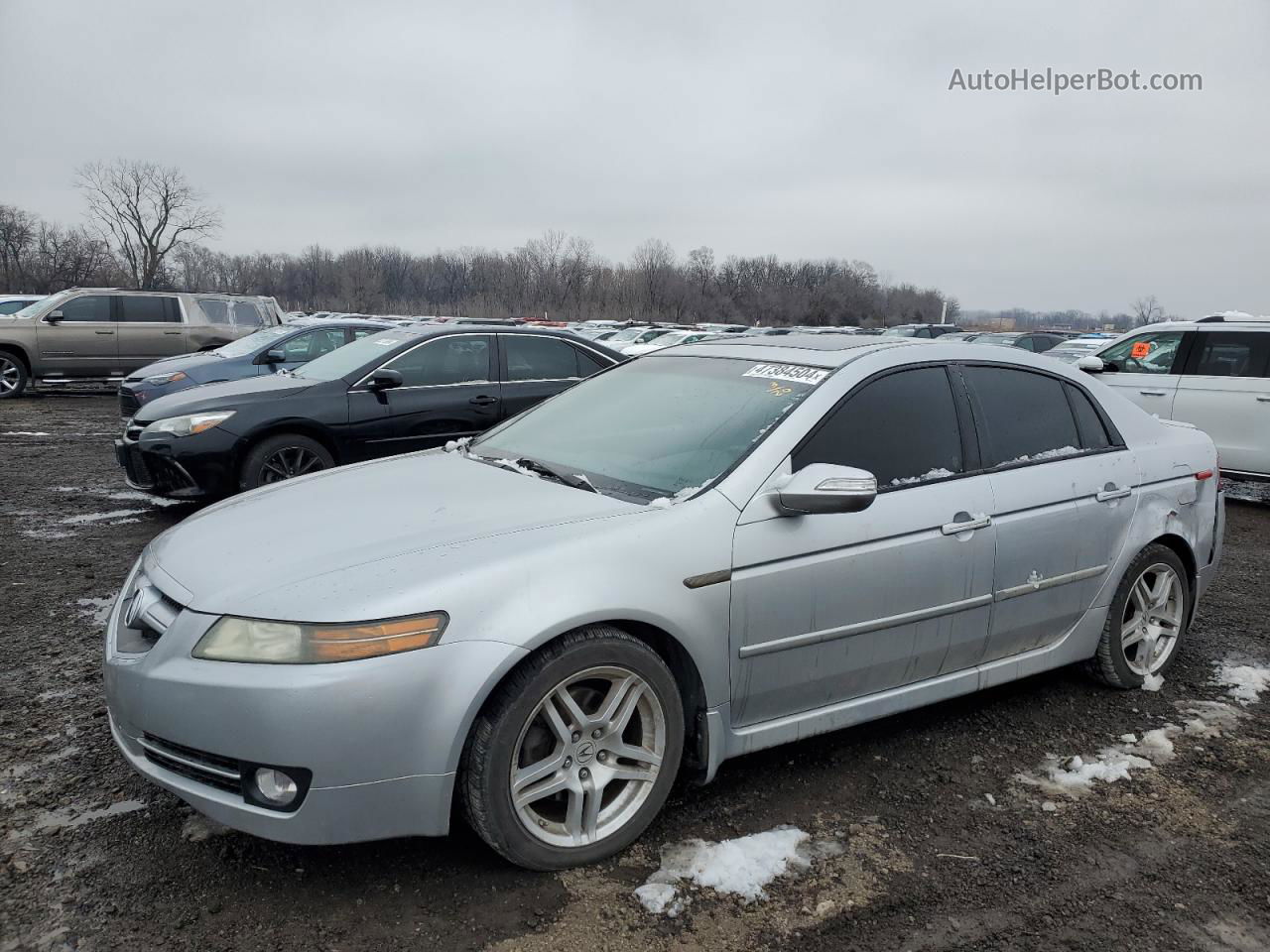 2008 Acura Tl  Silver vin: 19UUA66258A034369