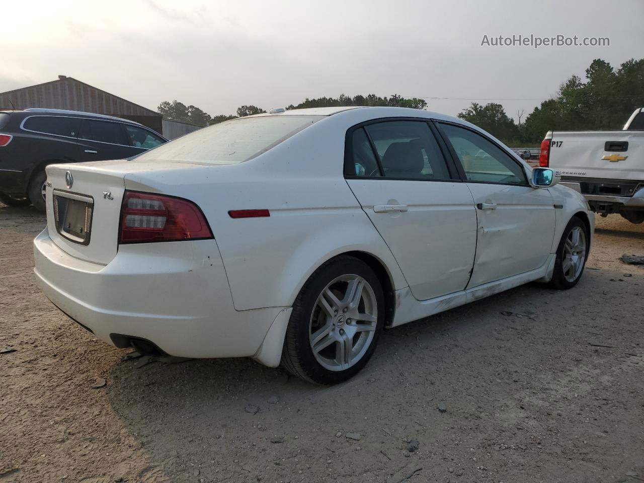 2008 Acura Tl  White vin: 19UUA66258A043735