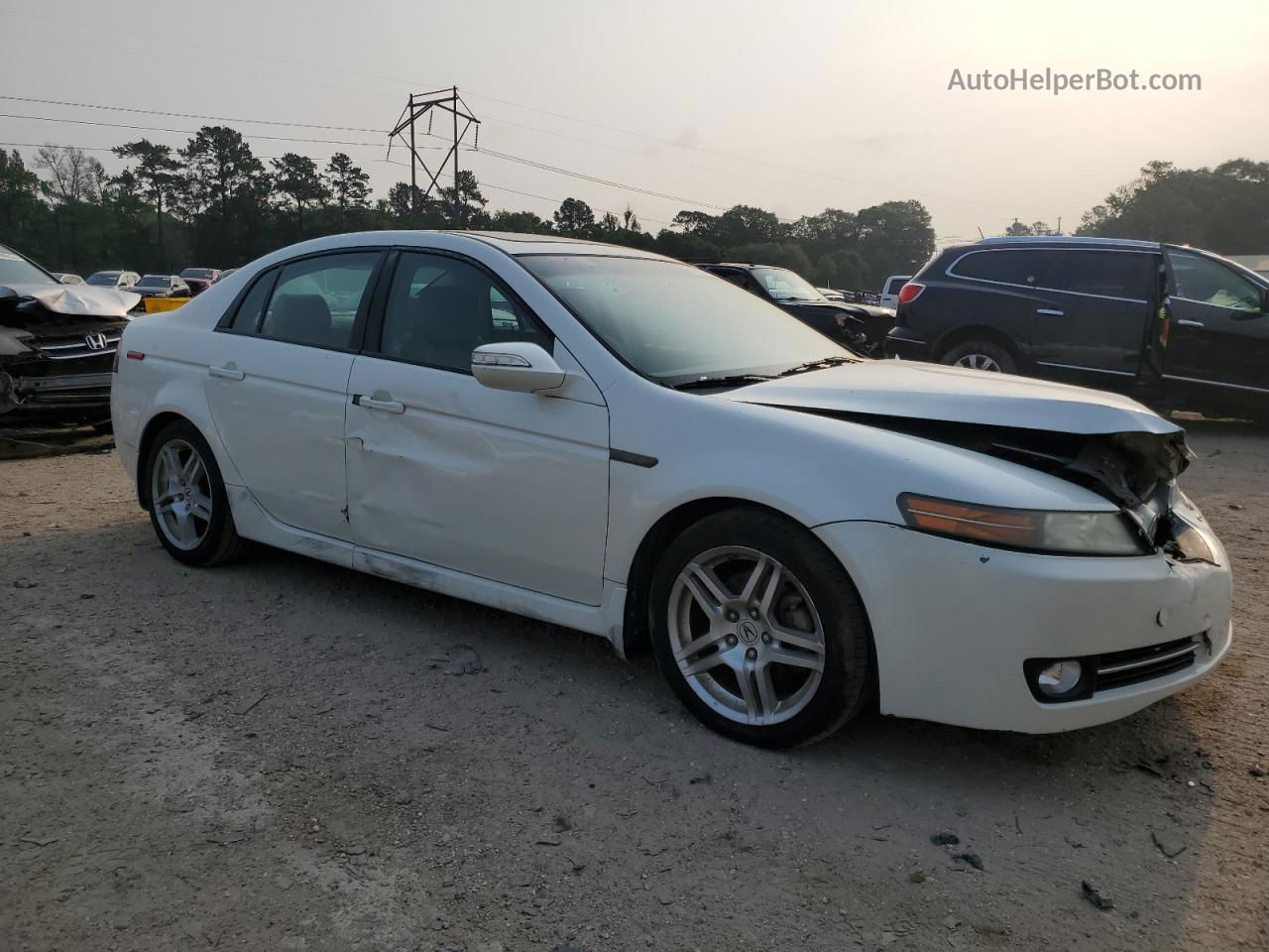 2008 Acura Tl  White vin: 19UUA66258A043735