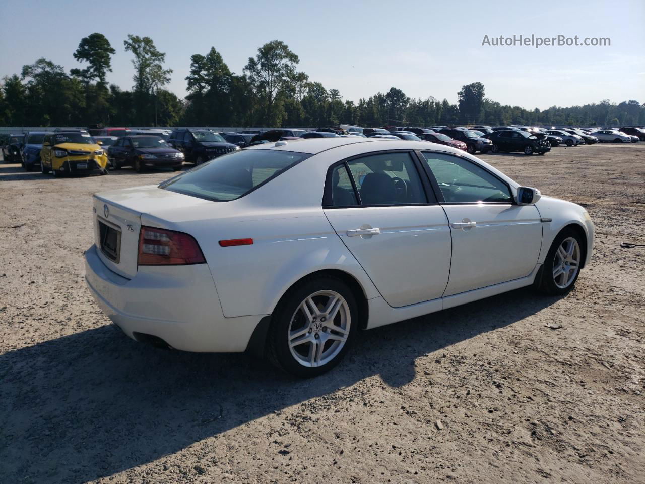 2008 Acura Tl  White vin: 19UUA66258A050281