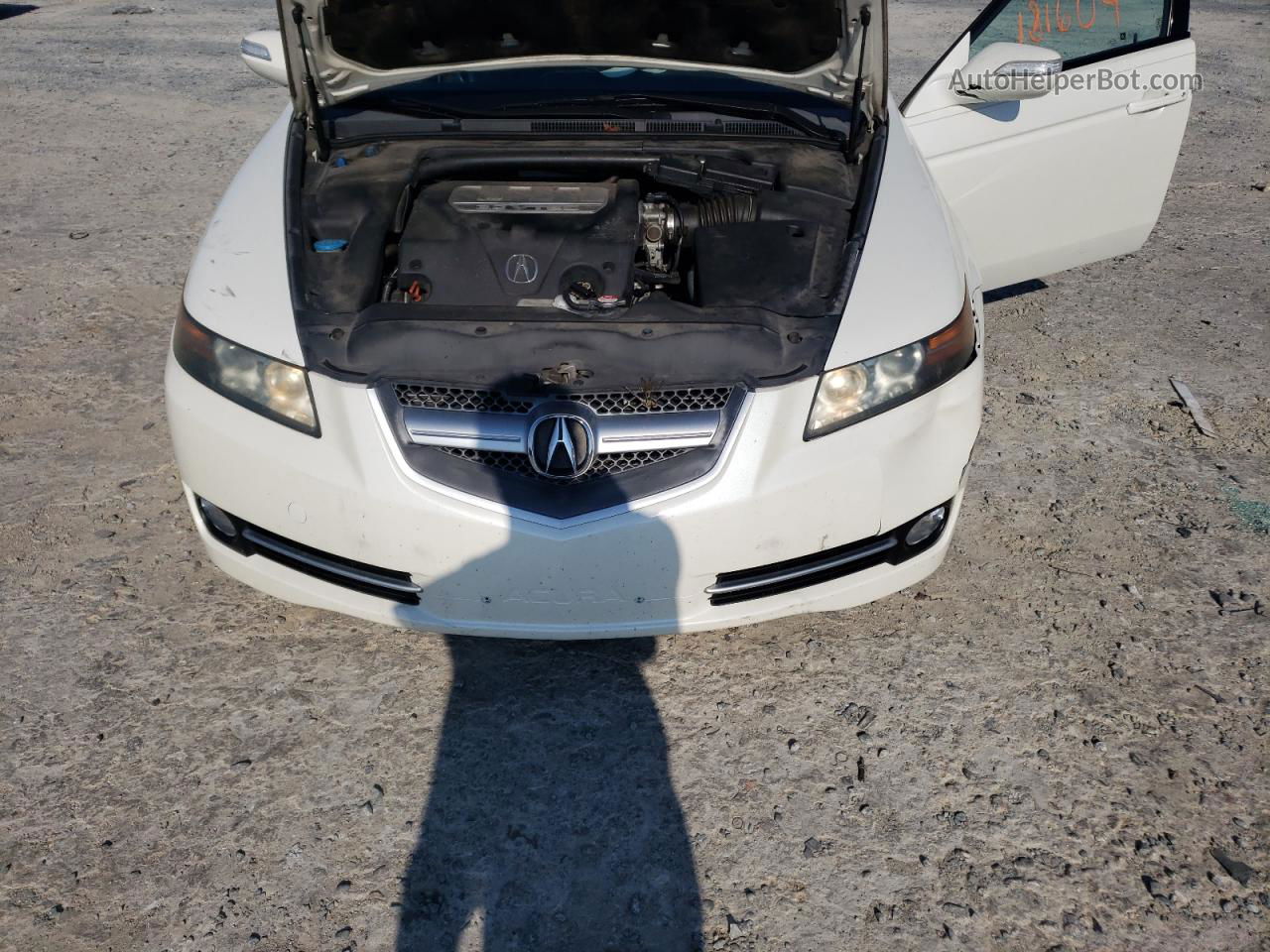 2008 Acura Tl  White vin: 19UUA66258A050281