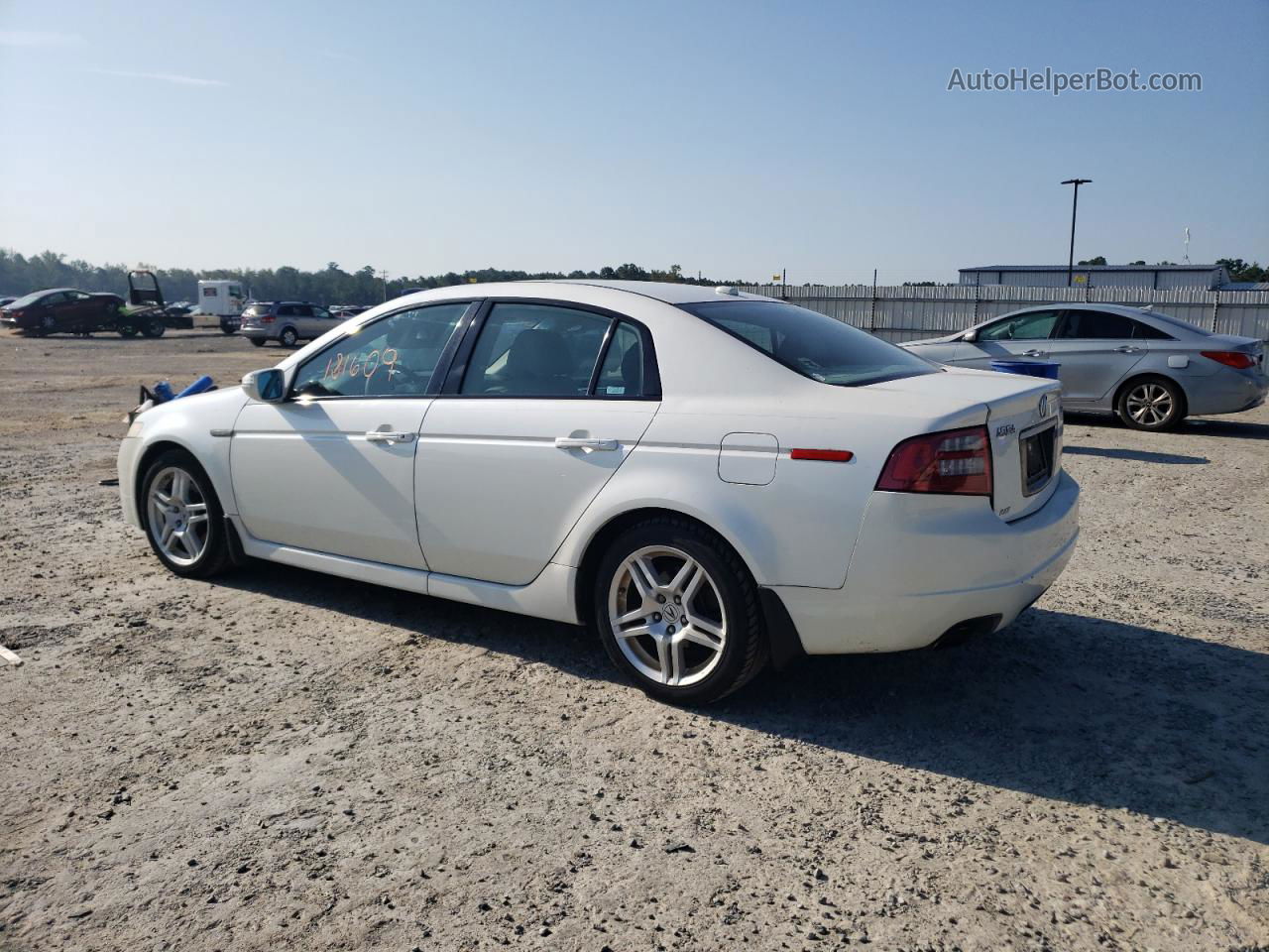 2008 Acura Tl  White vin: 19UUA66258A050281