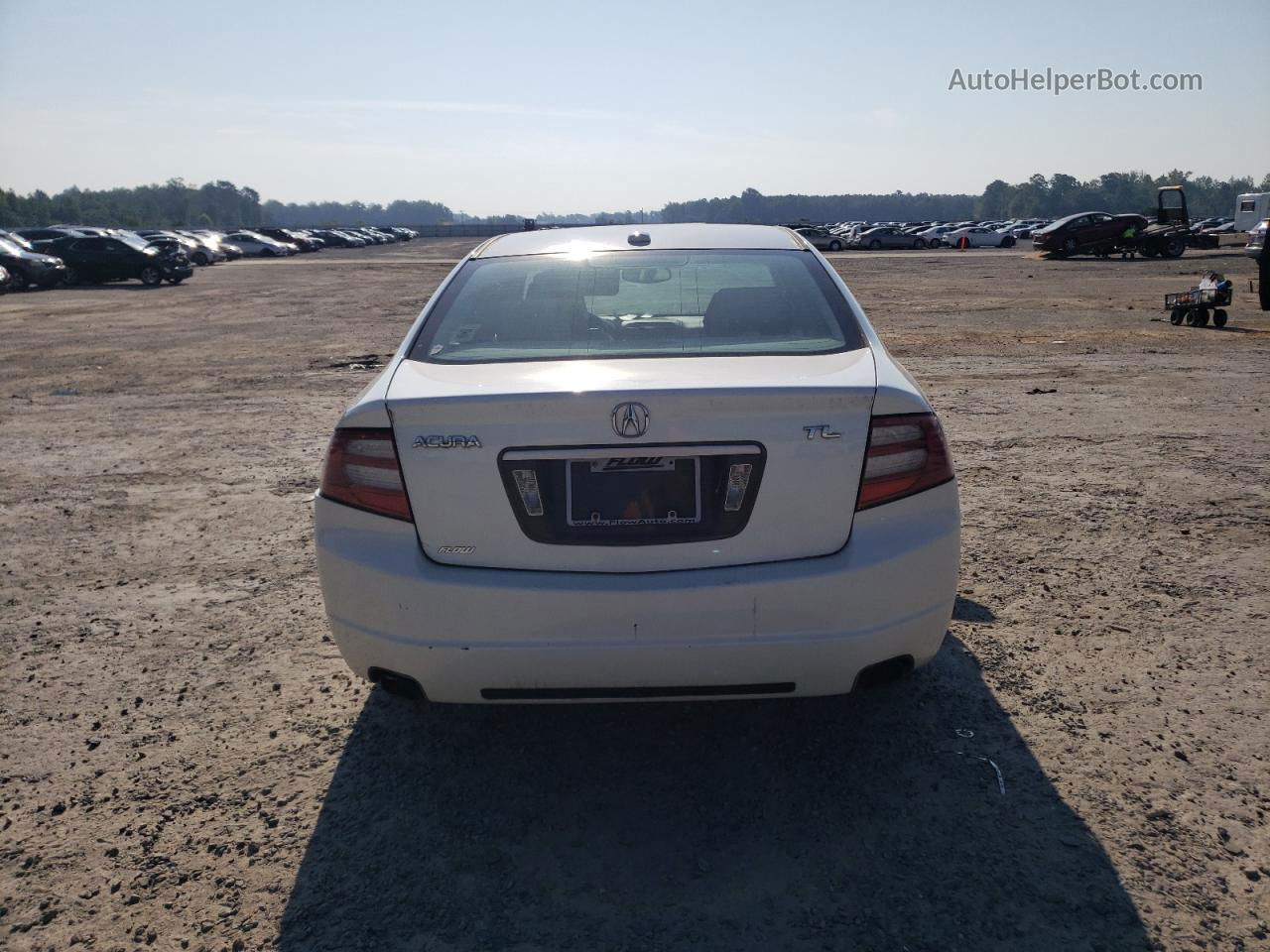 2008 Acura Tl  White vin: 19UUA66258A050281