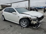 2008 Acura Tl  White vin: 19UUA66258A055660