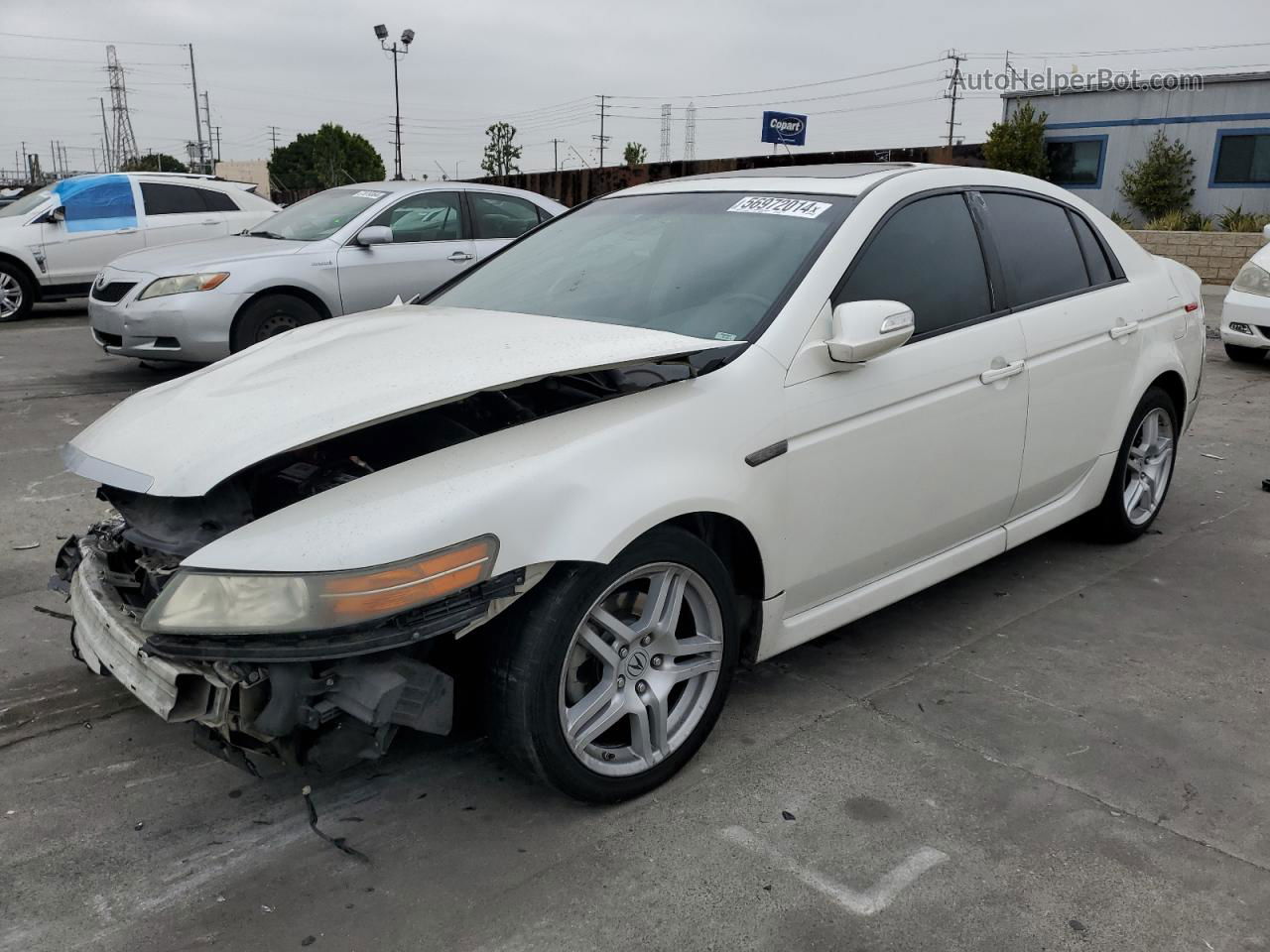 2008 Acura Tl  White vin: 19UUA66258A055660