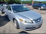 2005 Acura Tl Silver vin: 19UUA66265A006415