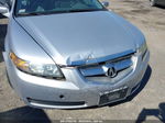 2005 Acura Tl Silver vin: 19UUA66265A006415