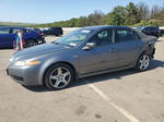 2005 Acura Tl  Gray vin: 19UUA66265A010819