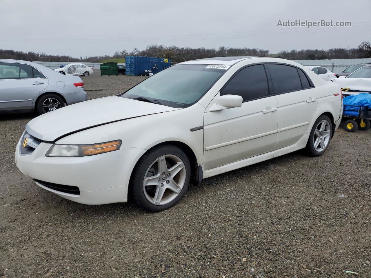 2005 Acura Tl  White vin: 19UUA66265A021299