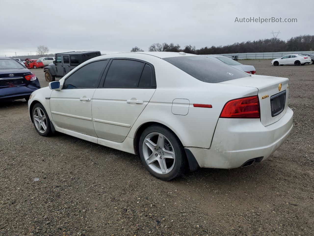 2005 Acura Tl  White vin: 19UUA66265A021299