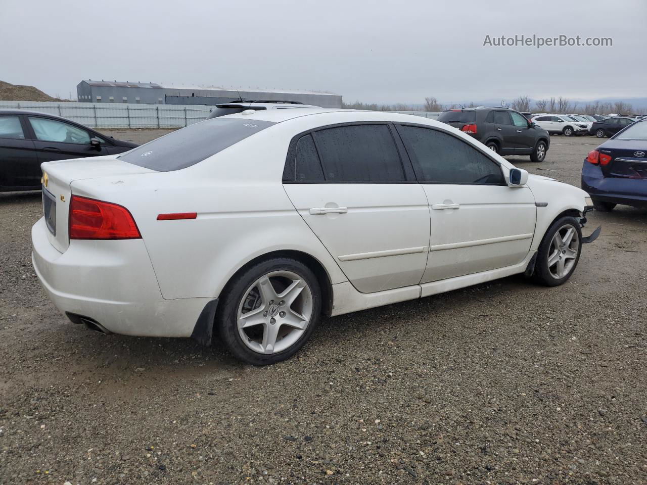 2005 Acura Tl  White vin: 19UUA66265A021299