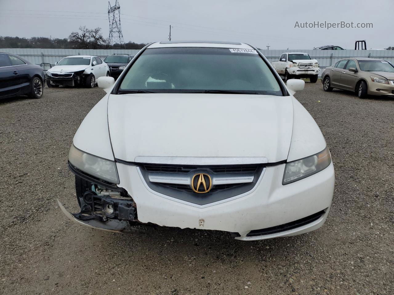 2005 Acura Tl  White vin: 19UUA66265A021299