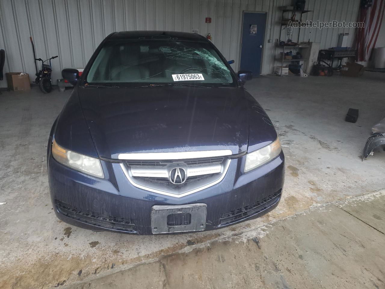 2005 Acura Tl  Blue vin: 19UUA66265A032383