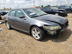 2005 Acura Tl  Серый vin: 19UUA66265A043089