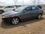 2005 Acura Tl  Серый vin: 19UUA66265A043089