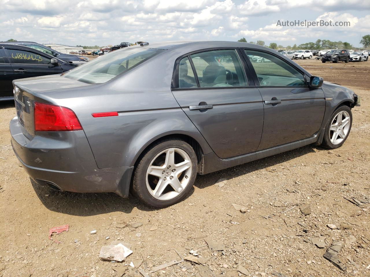 2005 Acura Tl  Серый vin: 19UUA66265A043089