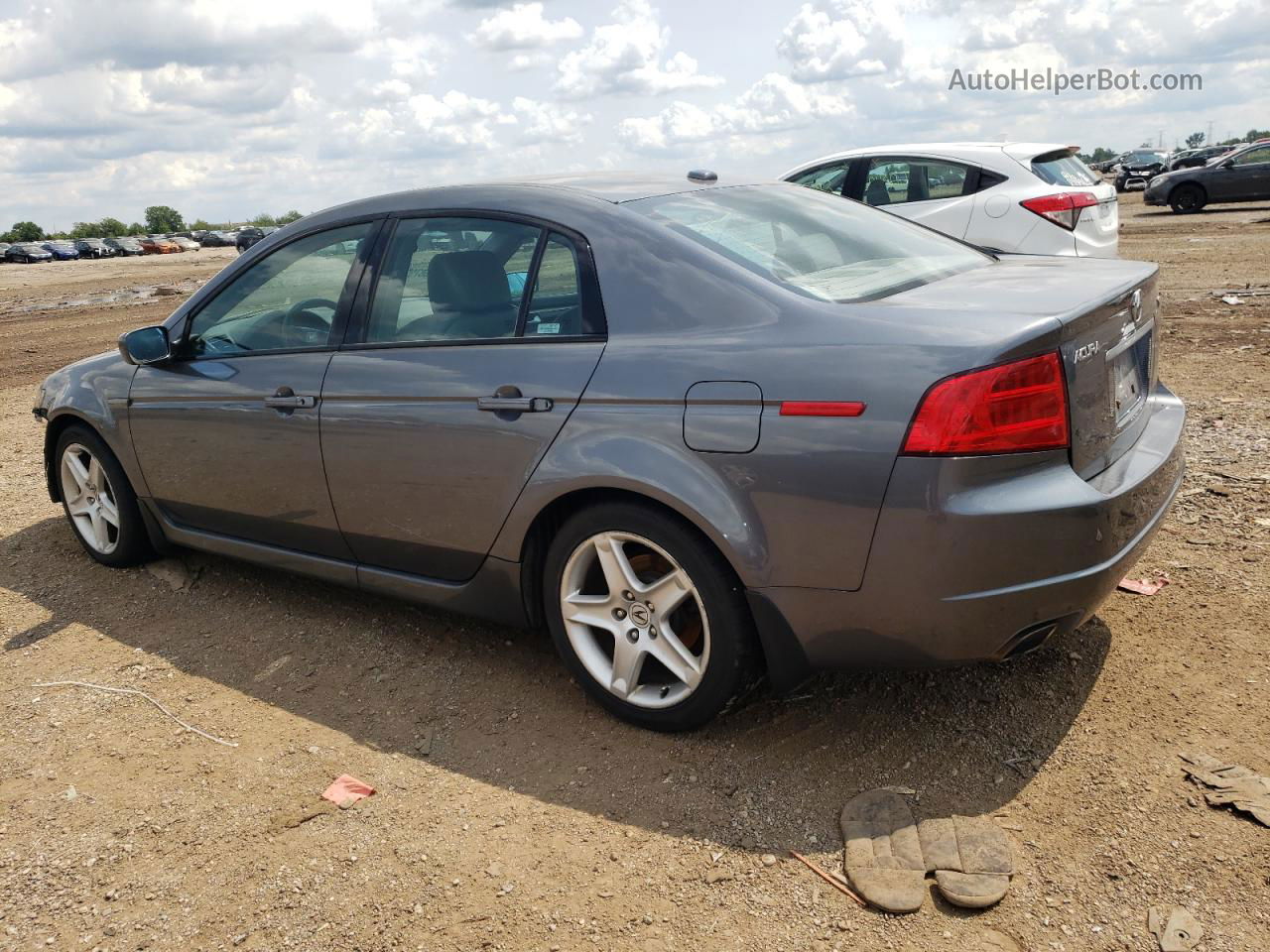 2005 Acura Tl  Серый vin: 19UUA66265A043089