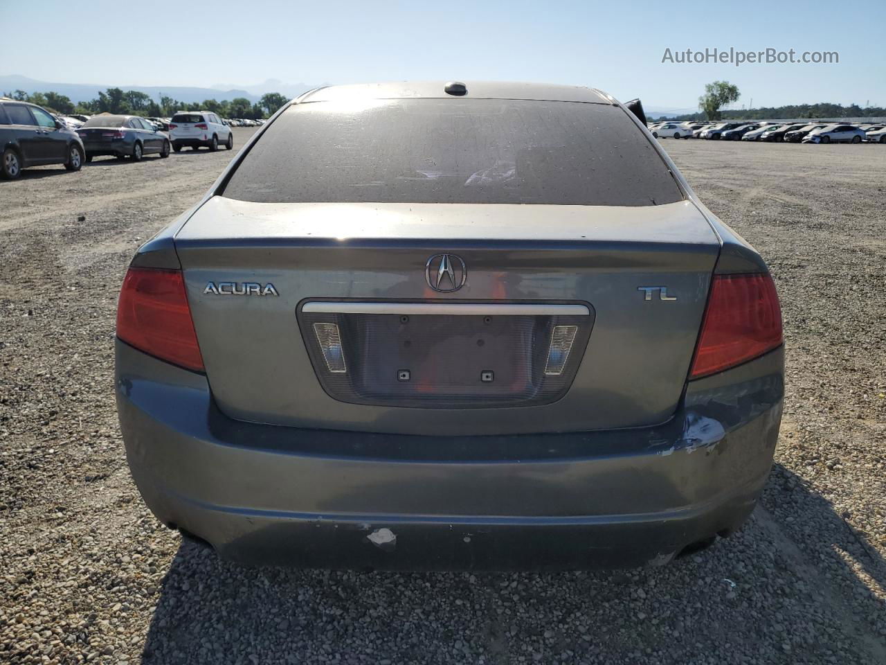 2005 Acura Tl  Gray vin: 19UUA66265A057414