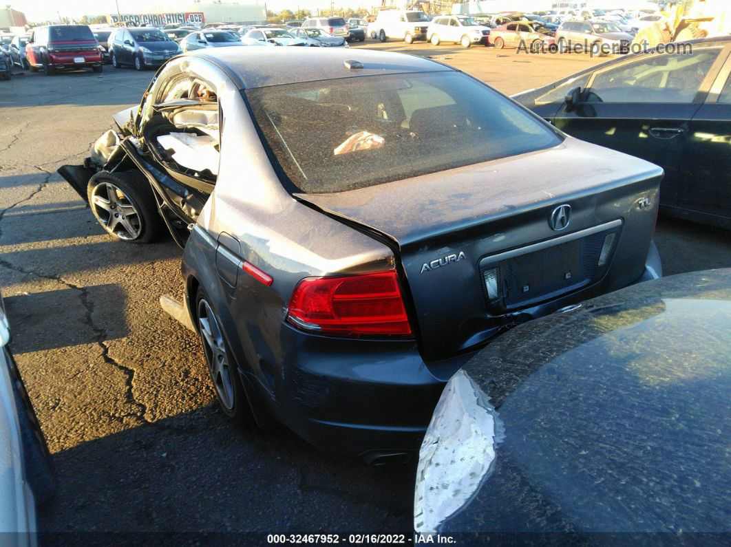 2005 Acura Tl Gray vin: 19UUA66265A066758