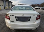 2008 Acura Tl  Белый vin: 19UUA66268A019721