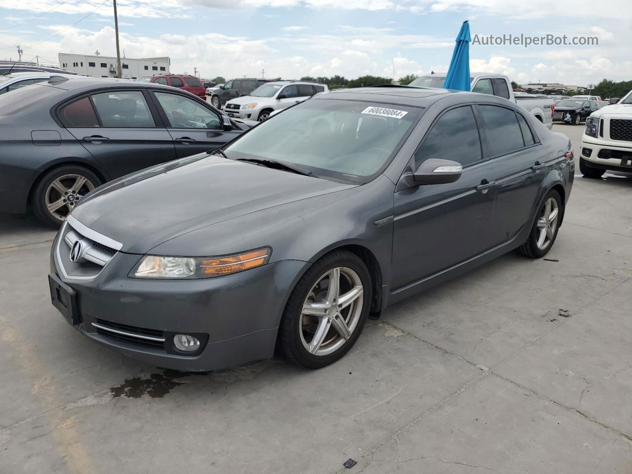 2008 Acura Tl  Gray vin: 19UUA66268A025647