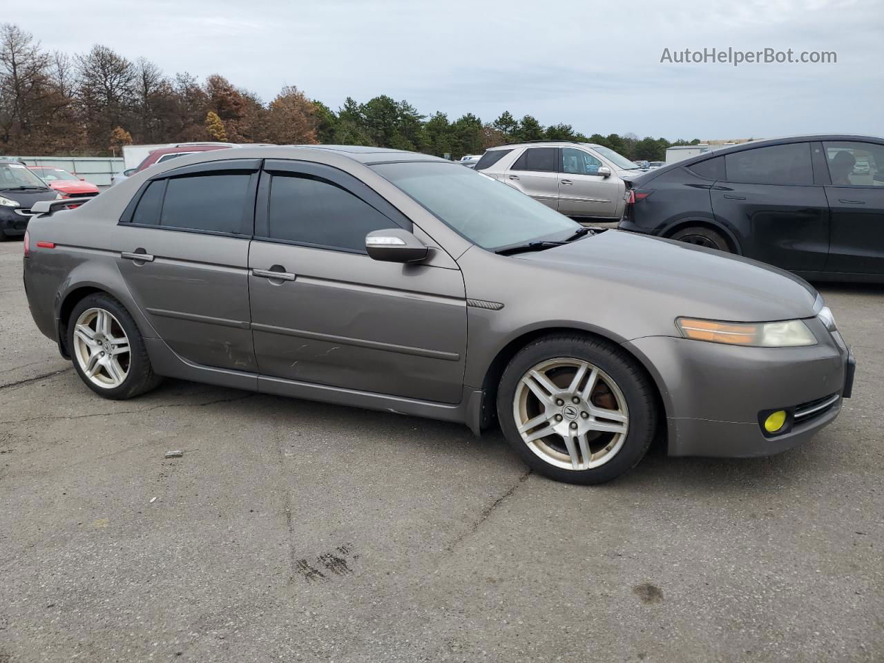 2008 Acura Tl  Gray vin: 19UUA66268A030444