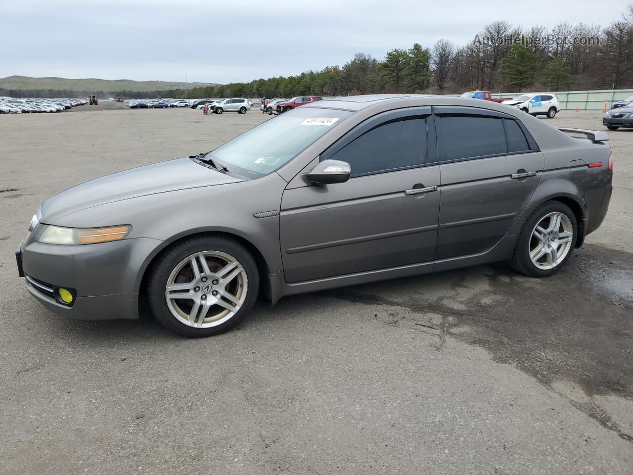 2008 Acura Tl  Gray vin: 19UUA66268A030444