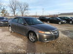 2008 Acura Tl   Gray vin: 19UUA66268A032033